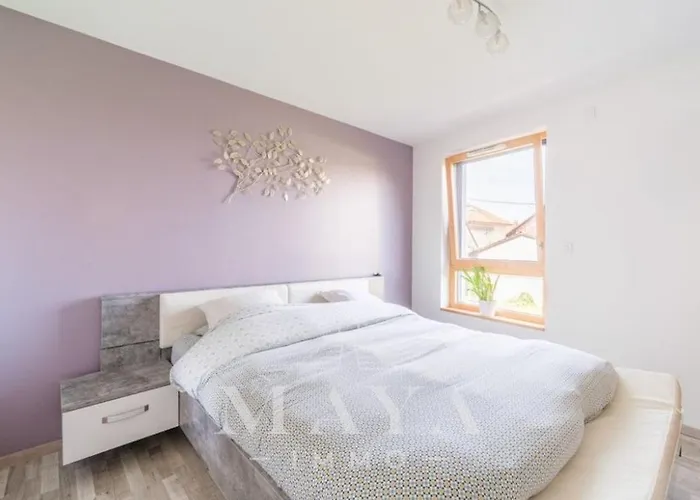 Apartment - 3 - Proche Euroairport *